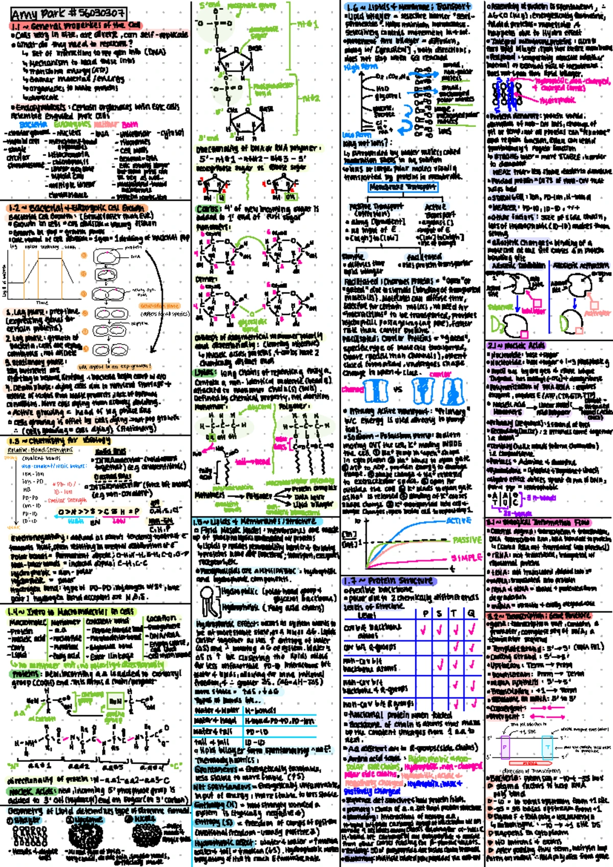 Final Cheat Sheet: Gene Expression, Operons, and CRISPR (Bio 101) - Studocu
