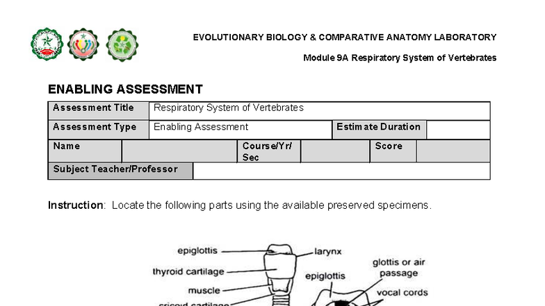 EVOLUTIONARY BIOLOGY 9A Enabling Assessment: Rabbit Respiratory System ...