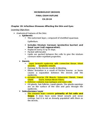 RAD 112 Exam 3 abdomen - Deprecated API usage: The SVG back-end is no ...