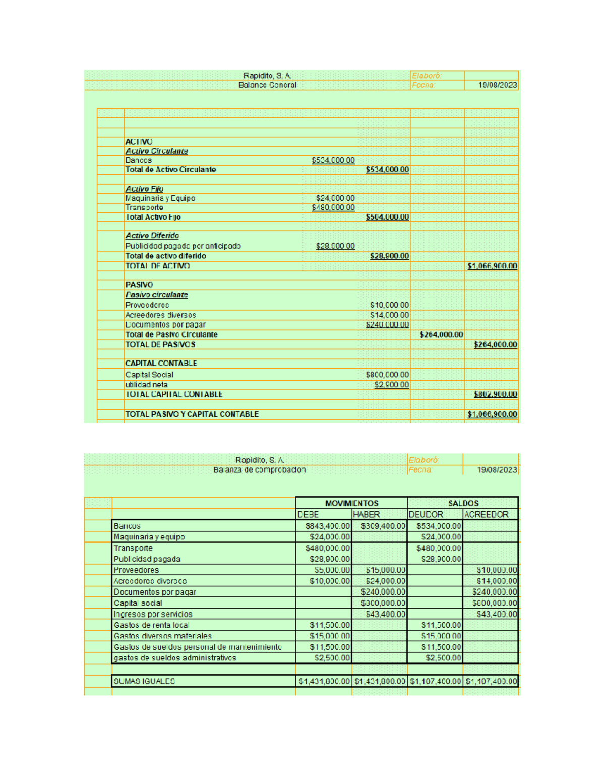 Formulación de Estados Financieros: Análisis y Aplicaciones - Document Preview