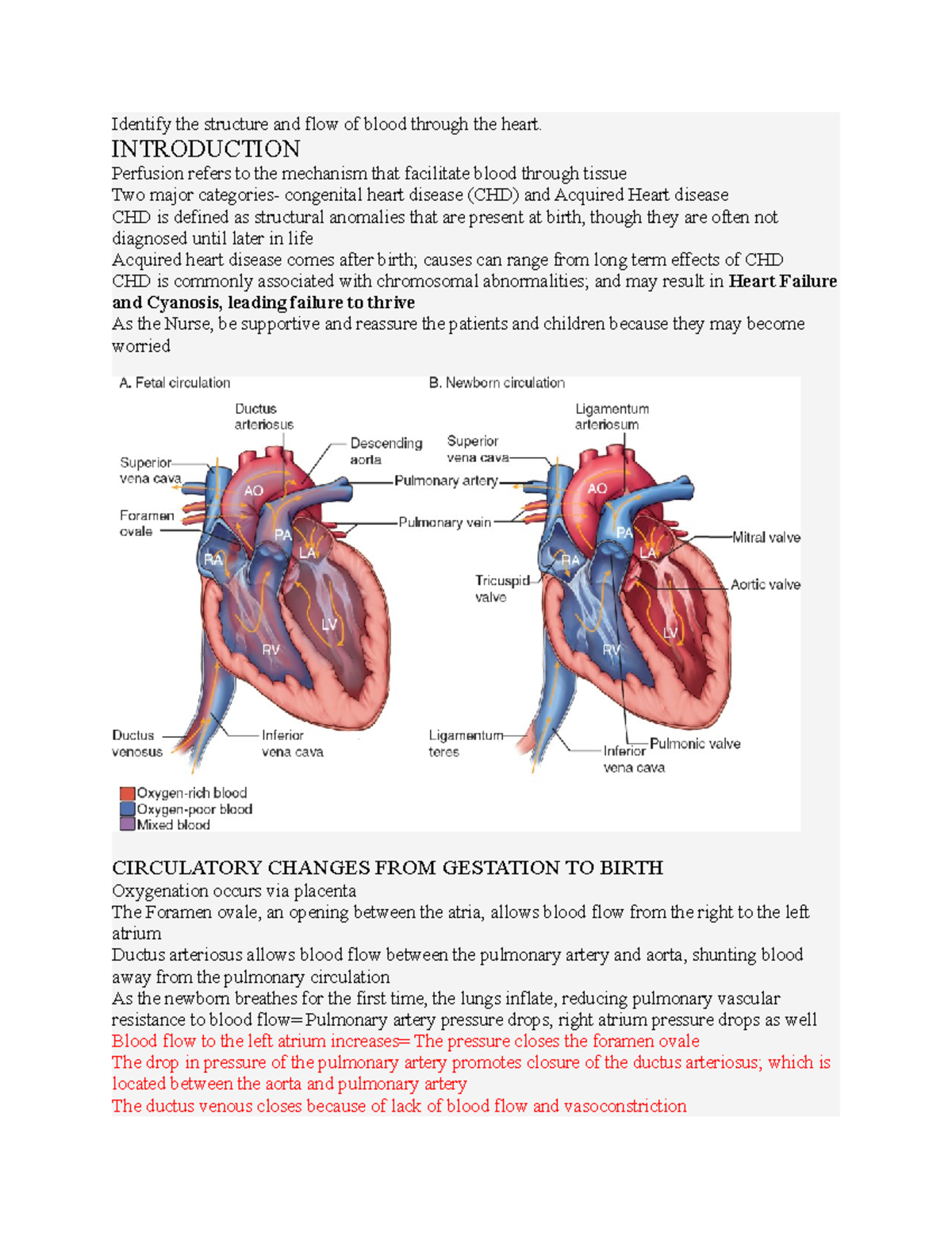 Chapter 41: Cardiac Structure and Blood Flow Overview - Studocu
