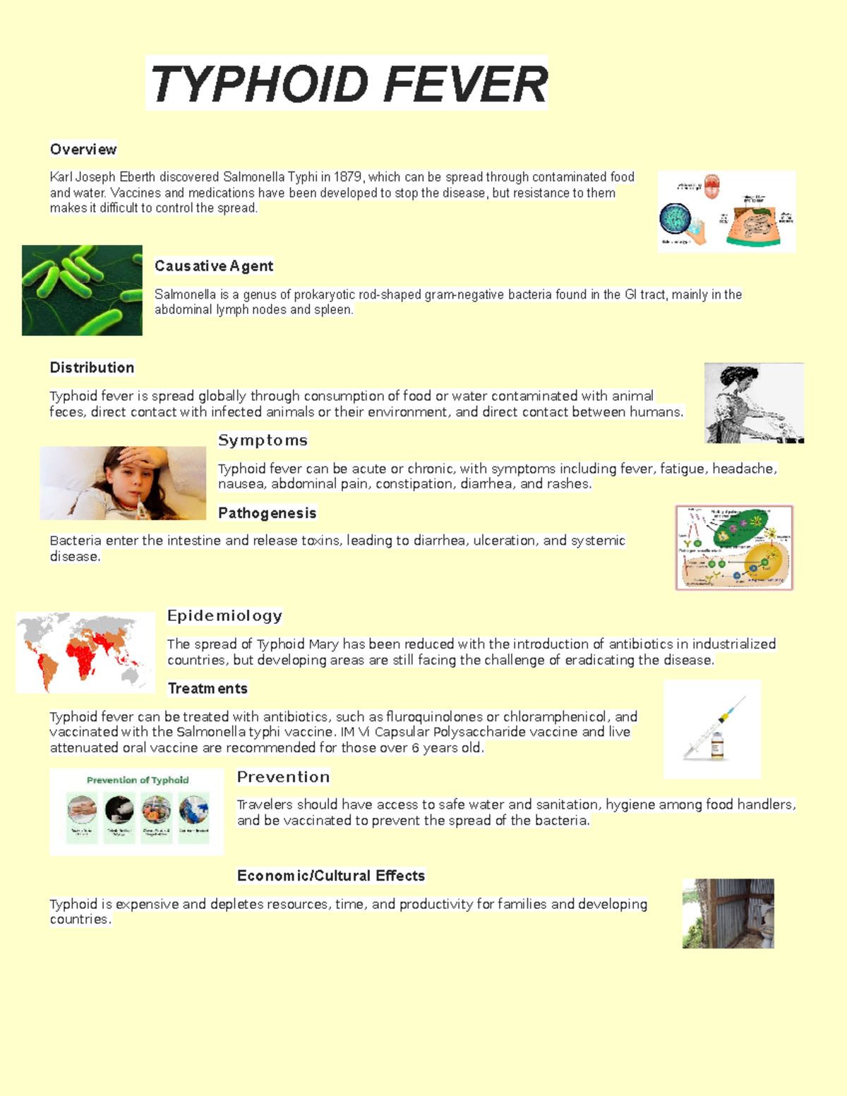 Typhoid Fever Etiology And Pathogenesis