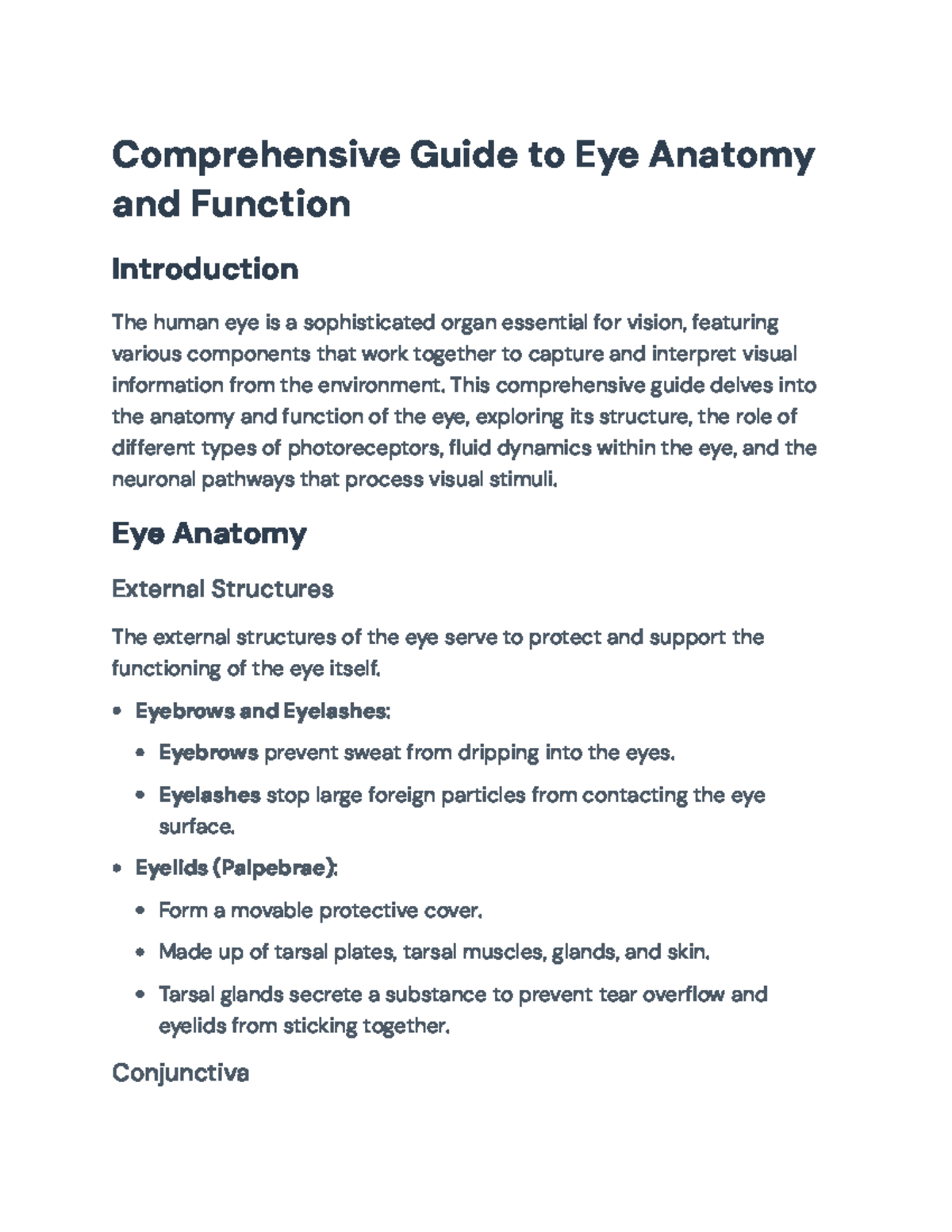 Comprehensive Guide to Eye Anatomy and Visual Processing ...