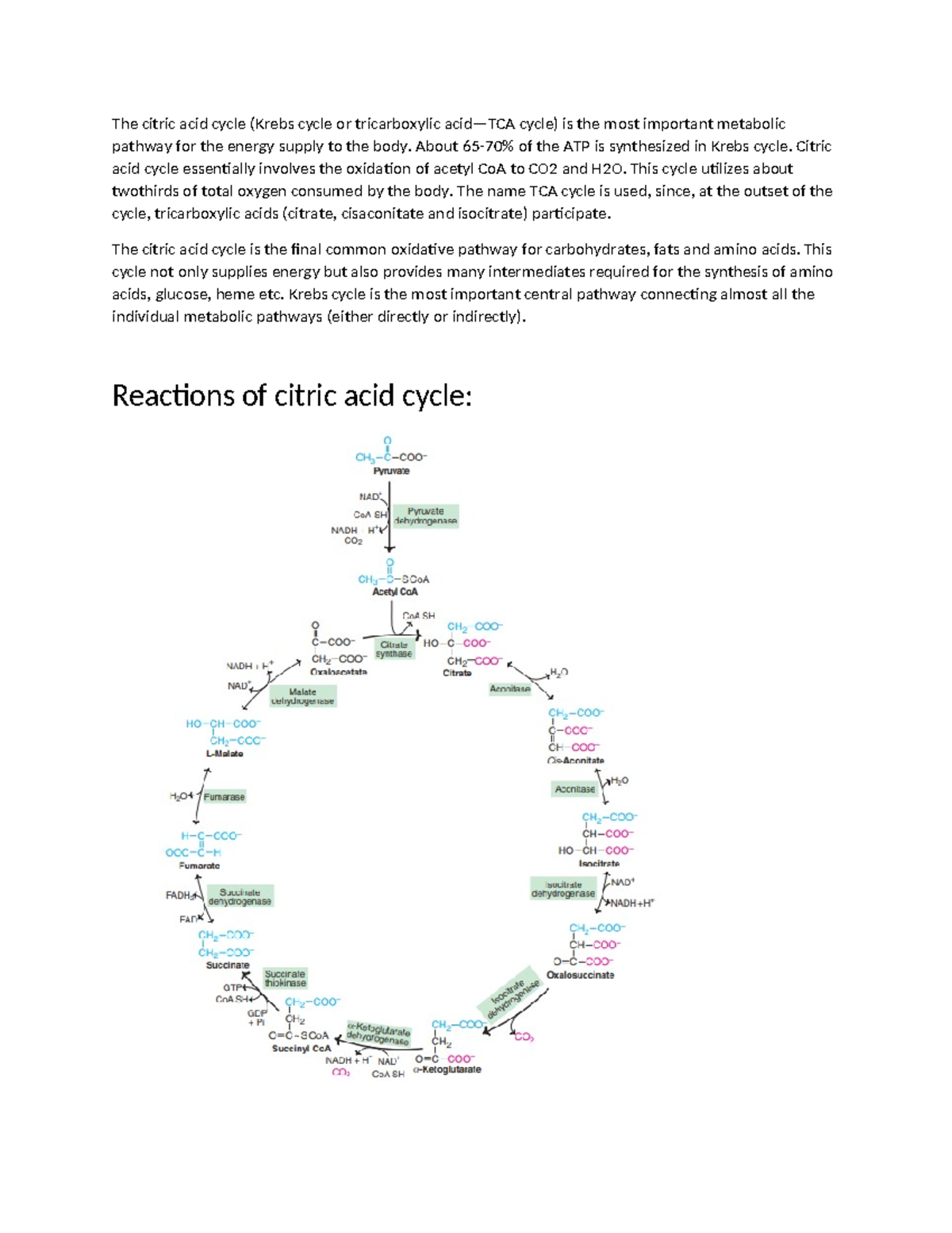 Citric acid cycle - good book - The citric acid cycle (Krebs cycle or ...