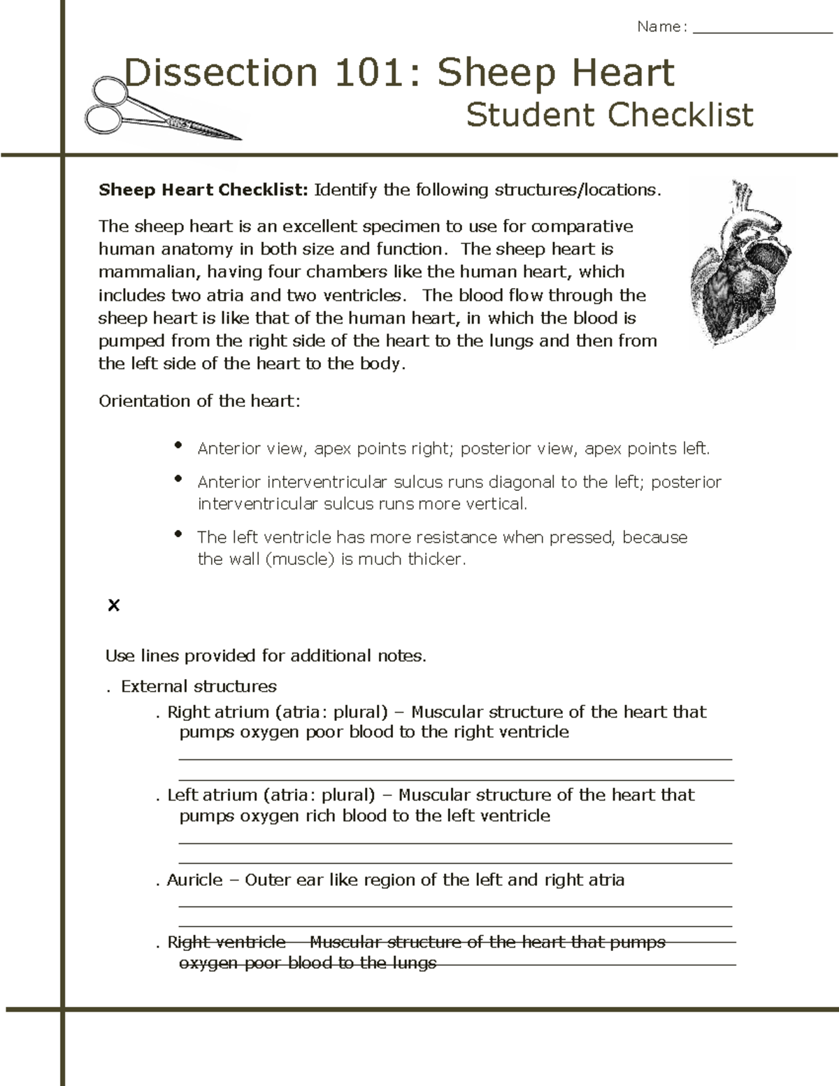 Sheep Heart Dissection Worksheet - Practical 3 Checklist - Studocu