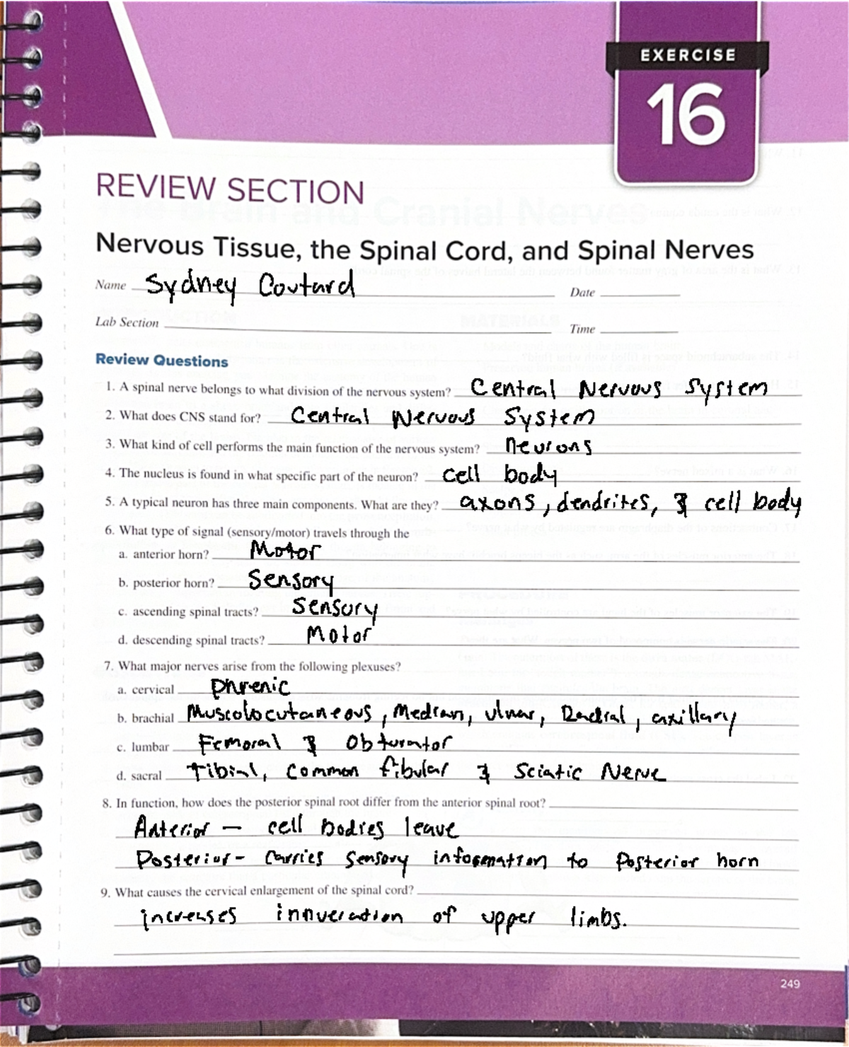 Lab Manual: Nervous Tissue, Spinal Cord, and Reflexes (16) - Studocu