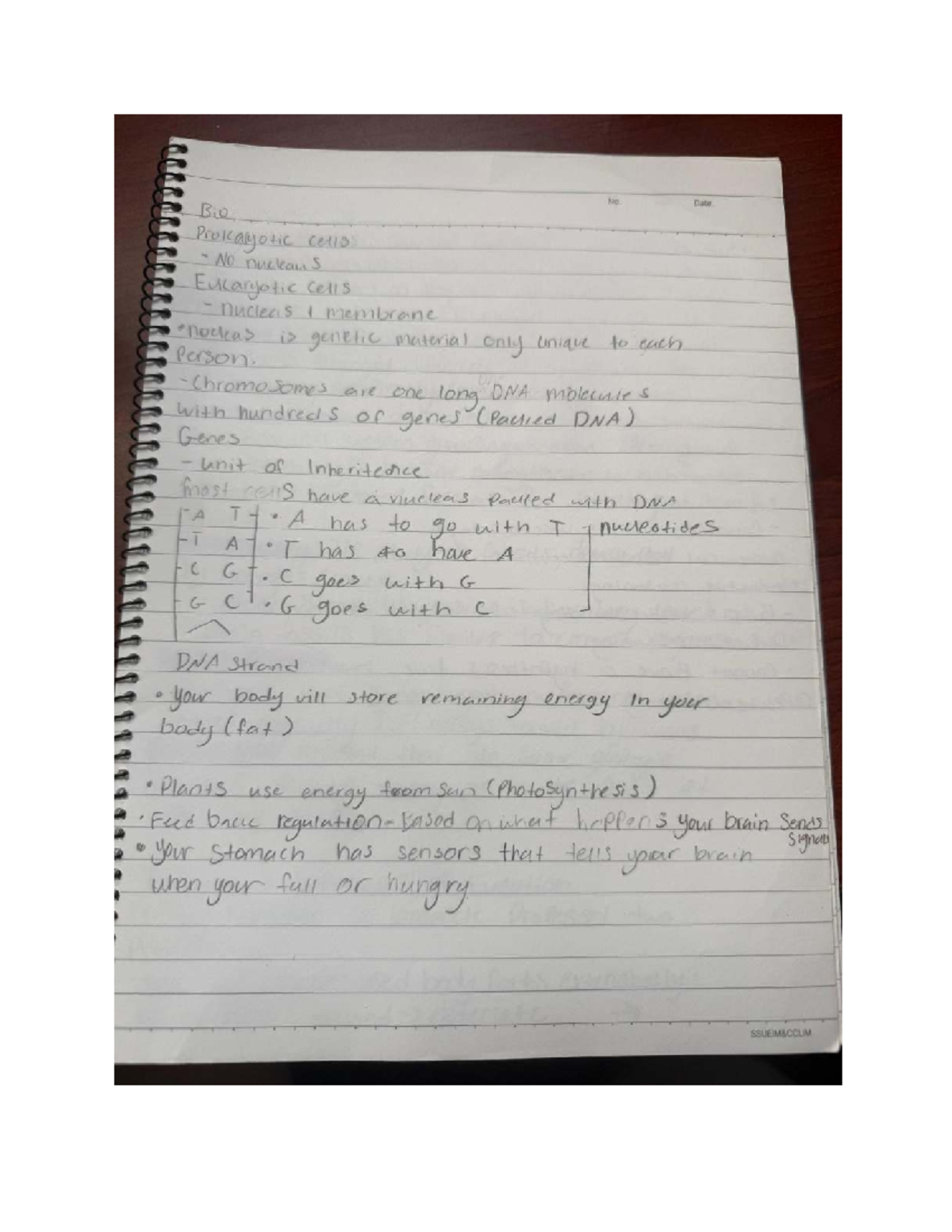 Bio 101: Study Guide for Exam Preparation on Cells & Genetics - Studocu