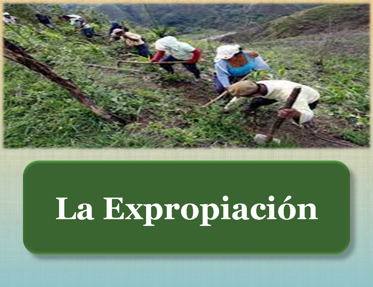 Presentación de Expropiación y su Impacto en el Interés Público - Studocu