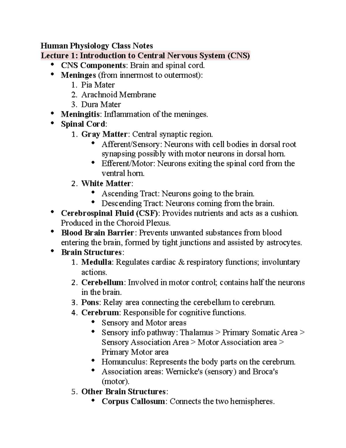 PGY 300 Neurophysiology Lecture Notes: CNS & Neuron Overview - Studocu