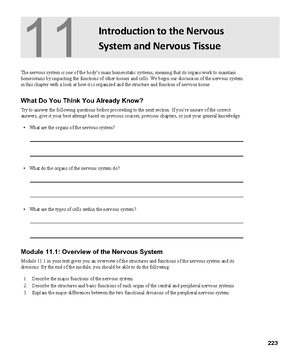Anatomy Final Review - Anatomy final Exam I peripheral nervous system ...