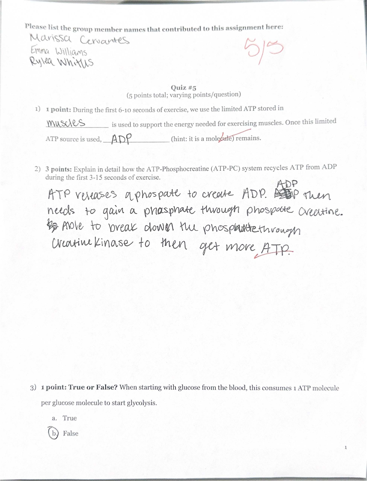 Midterm Exam Review Notes for Course XYZ 101: ATP Recycling in Exercise ...