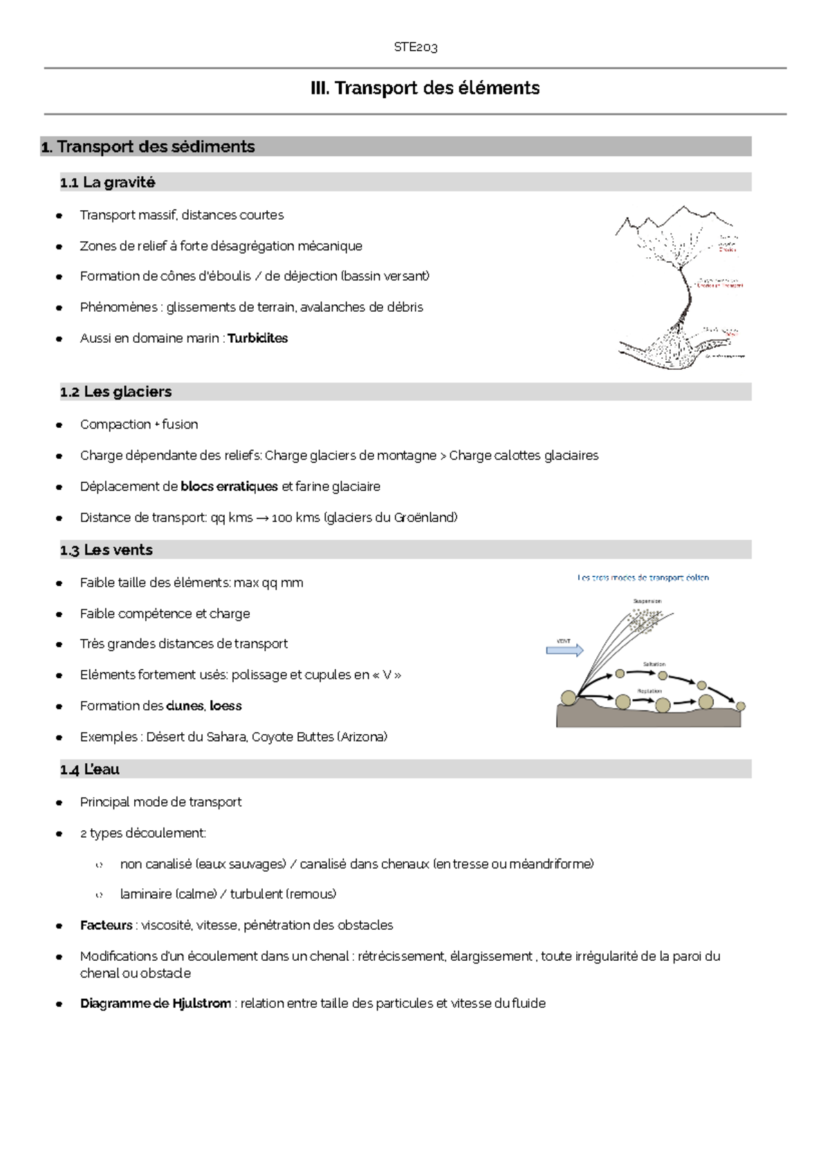 Transport des éléments et Milieux de sédimentation - STE203 Exam Notes ...