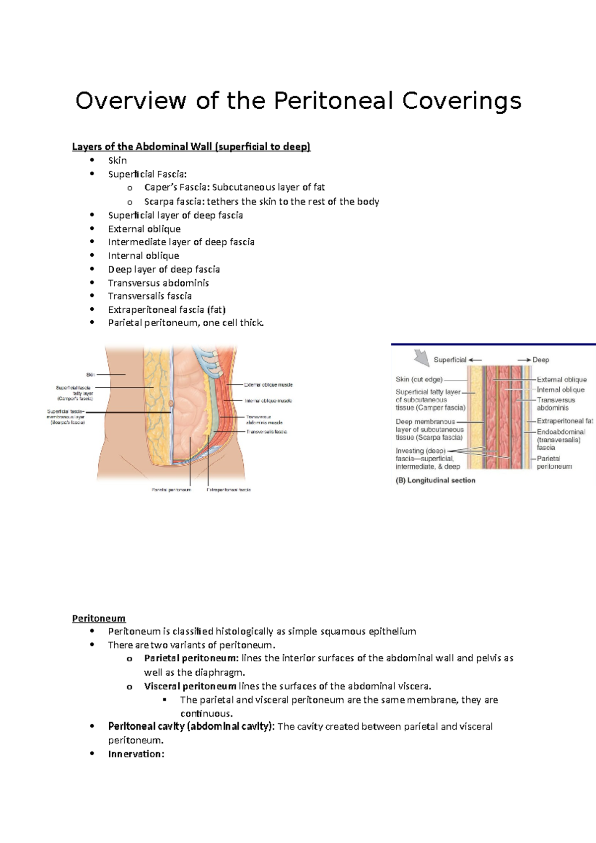 Parietal Peritoneum Innervation