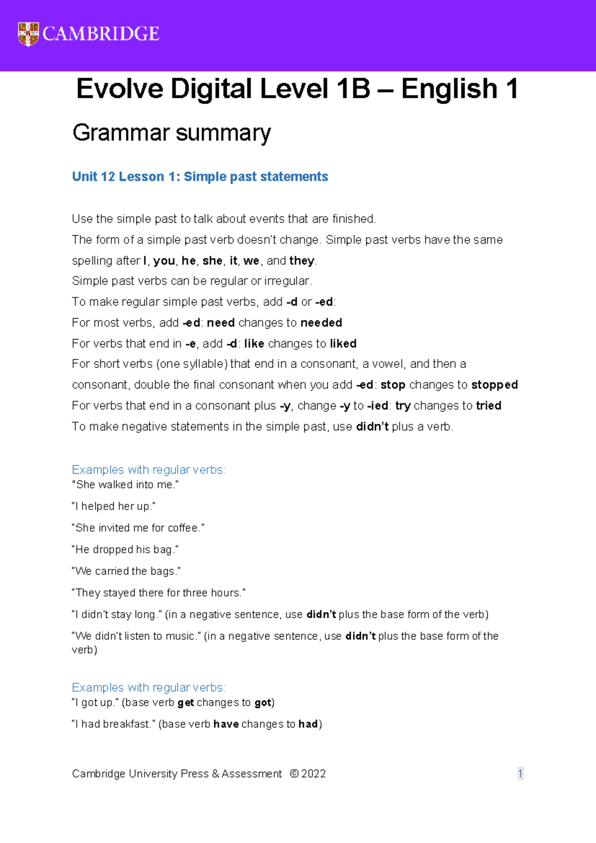 Evolve Digital E1 Grammar Summary: Unit 12 - Simple Past Statements ...