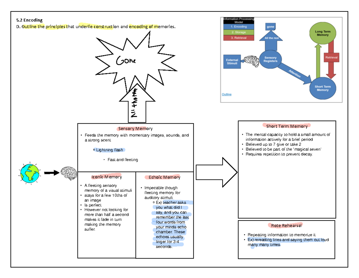 CM2.4 Encoding - 5 Encoding D. Outline the principles that underlie ...