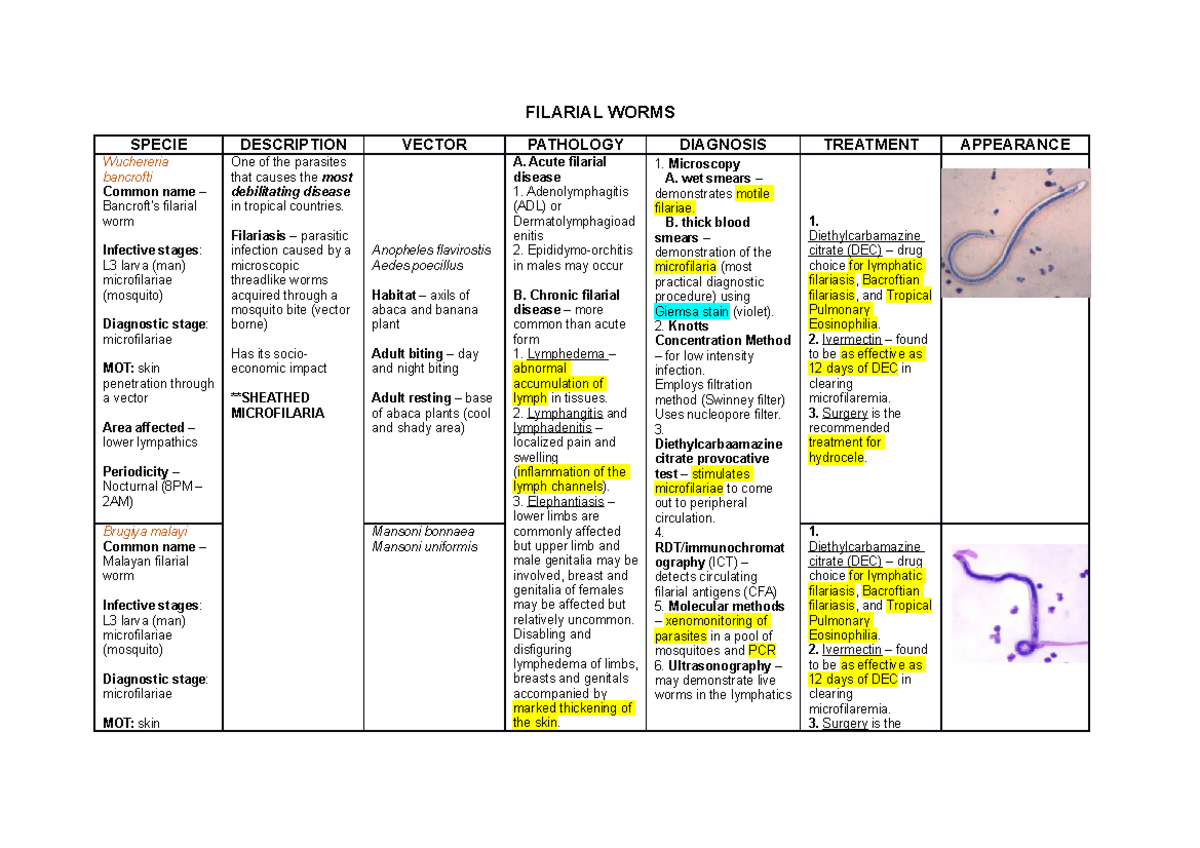Examples Of Filarial Worms