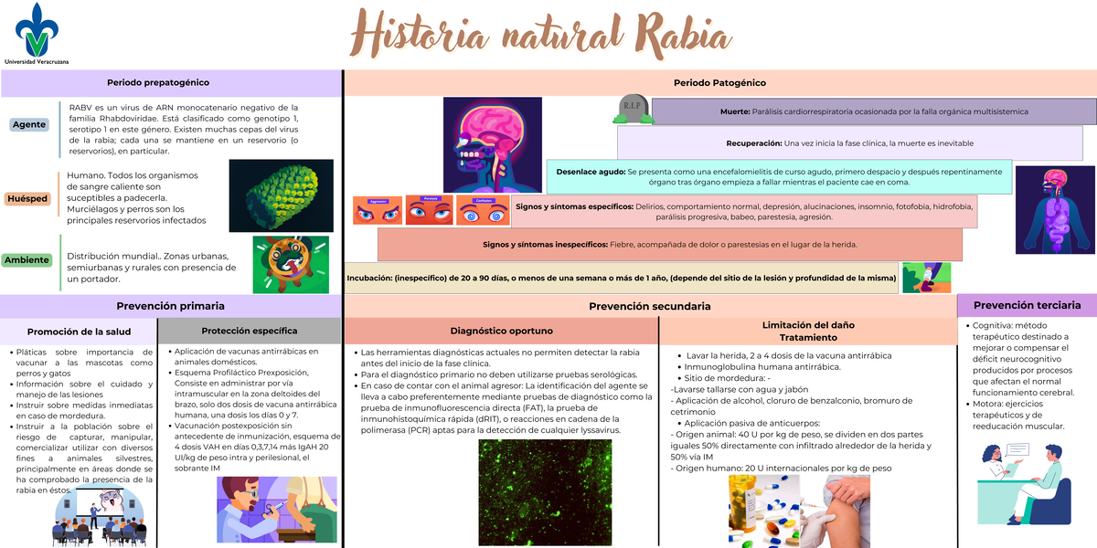 Historia Natural y Prevención de la Rabia - HNE Rabia - Studocu