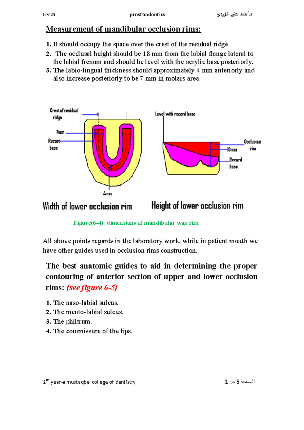 Maxillary Occlusal Rim Dimensions