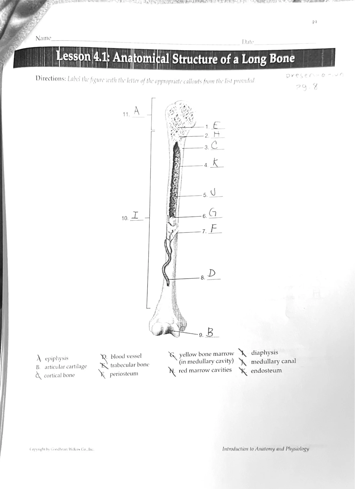Lesson 4.2: Vertebrae And Bones Of The Skull - is Name Date