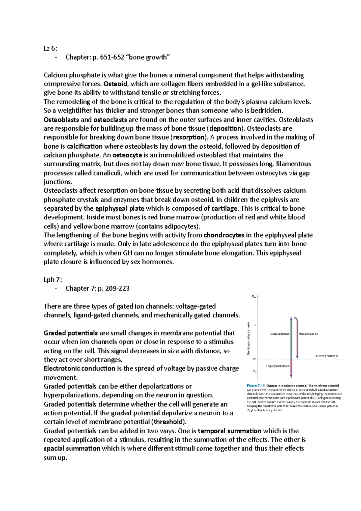Summary of Physiology Concepts - Lz 6 and Lph 7-11 - Studeersnel
