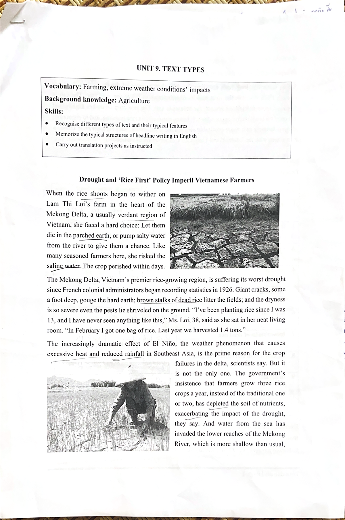UNIT 9: TEXT TYPES - Vocabulary & Translation Exercises - Studocu