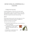Historia Natural DE LA Enfermedad DE LA Colelitiasis