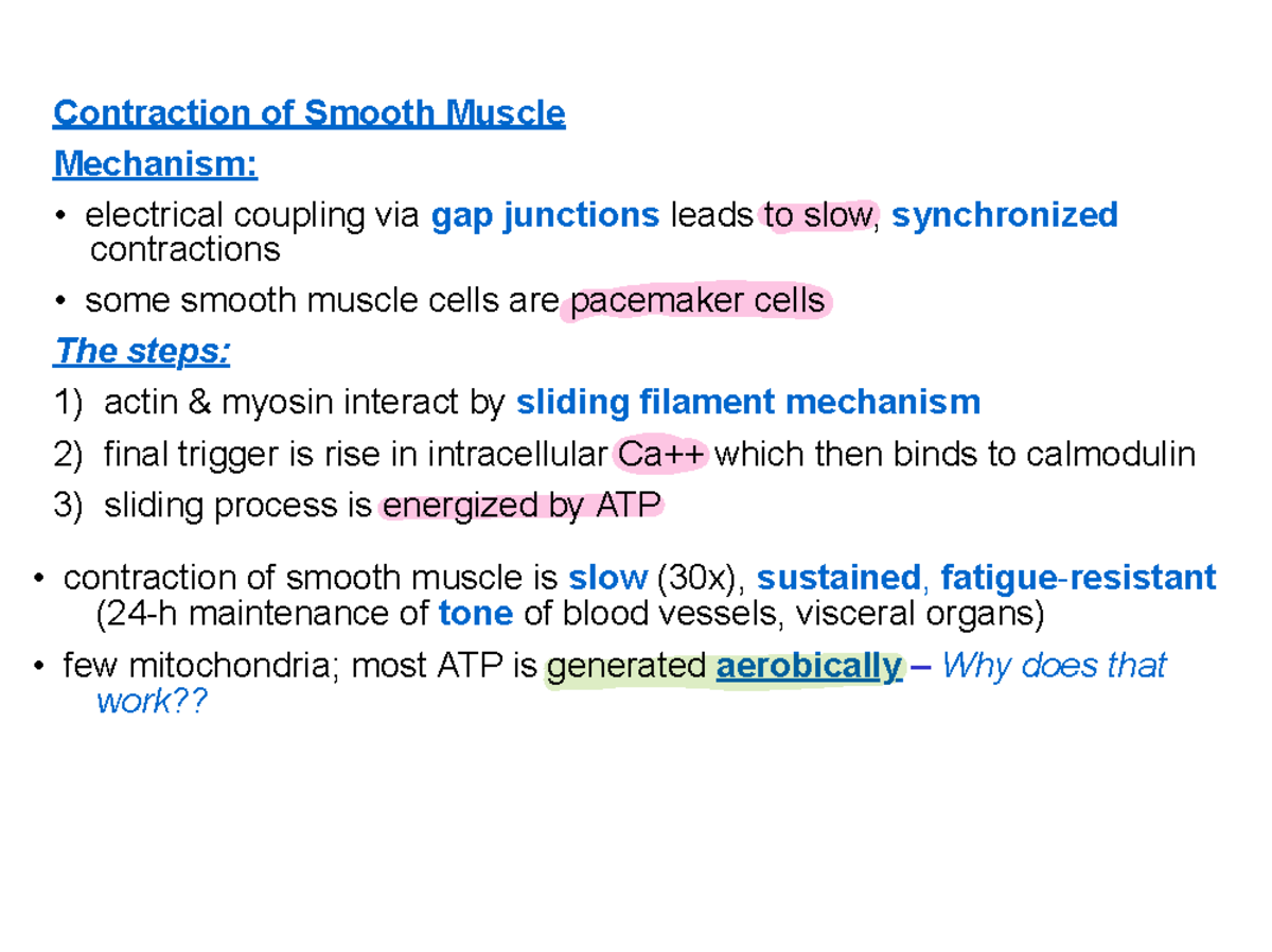 Contraction of Smooth Muscle: Mechanisms and Processes - Studocu