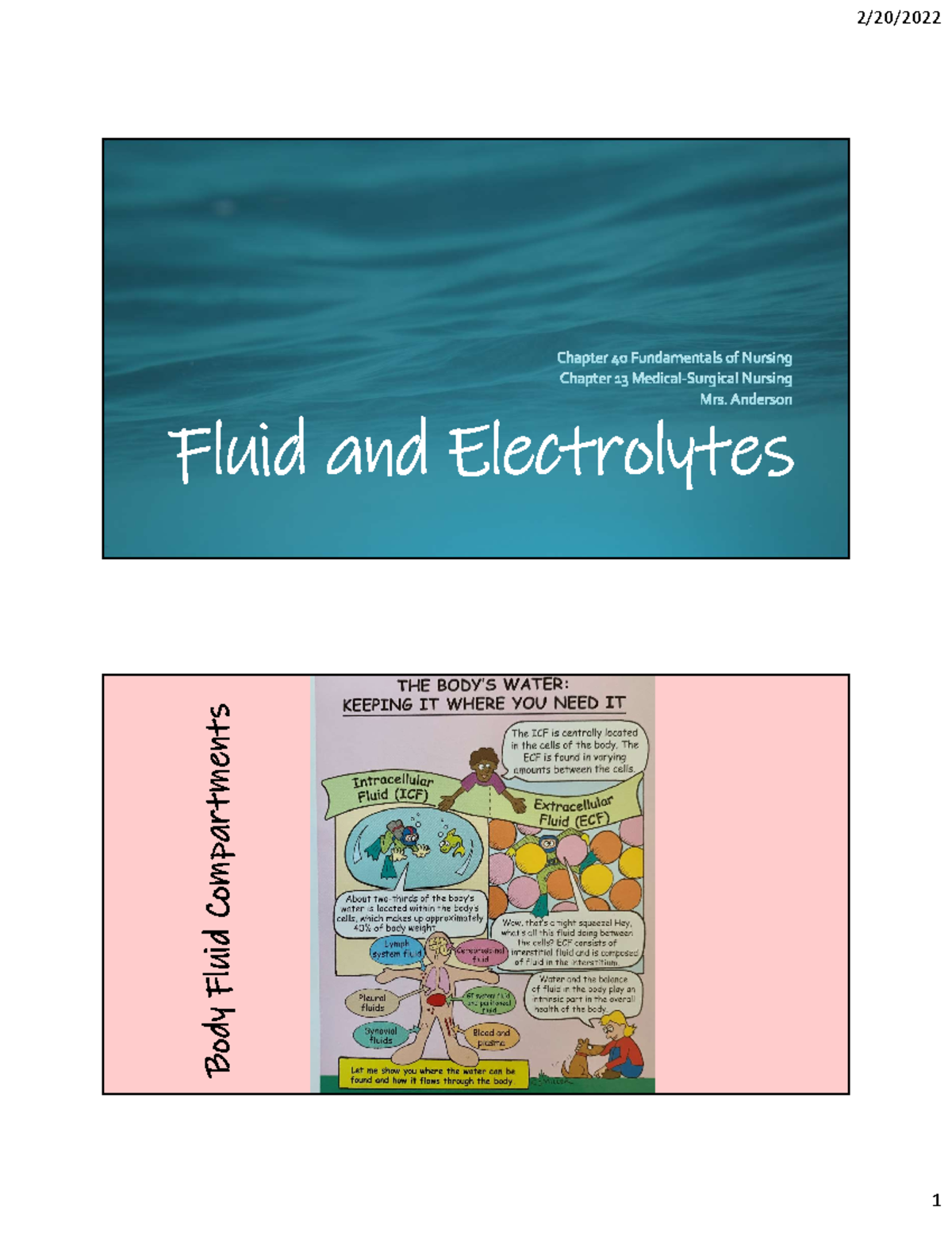 Week 6: Understanding Fluid and Electrolyte Balance - Studocu