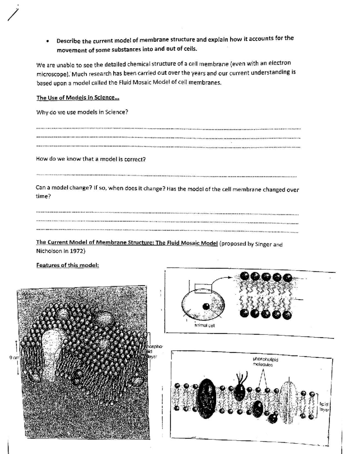 Cell Membrane Structure & Function: Fluid Mosaic Model Explained - Bio ...