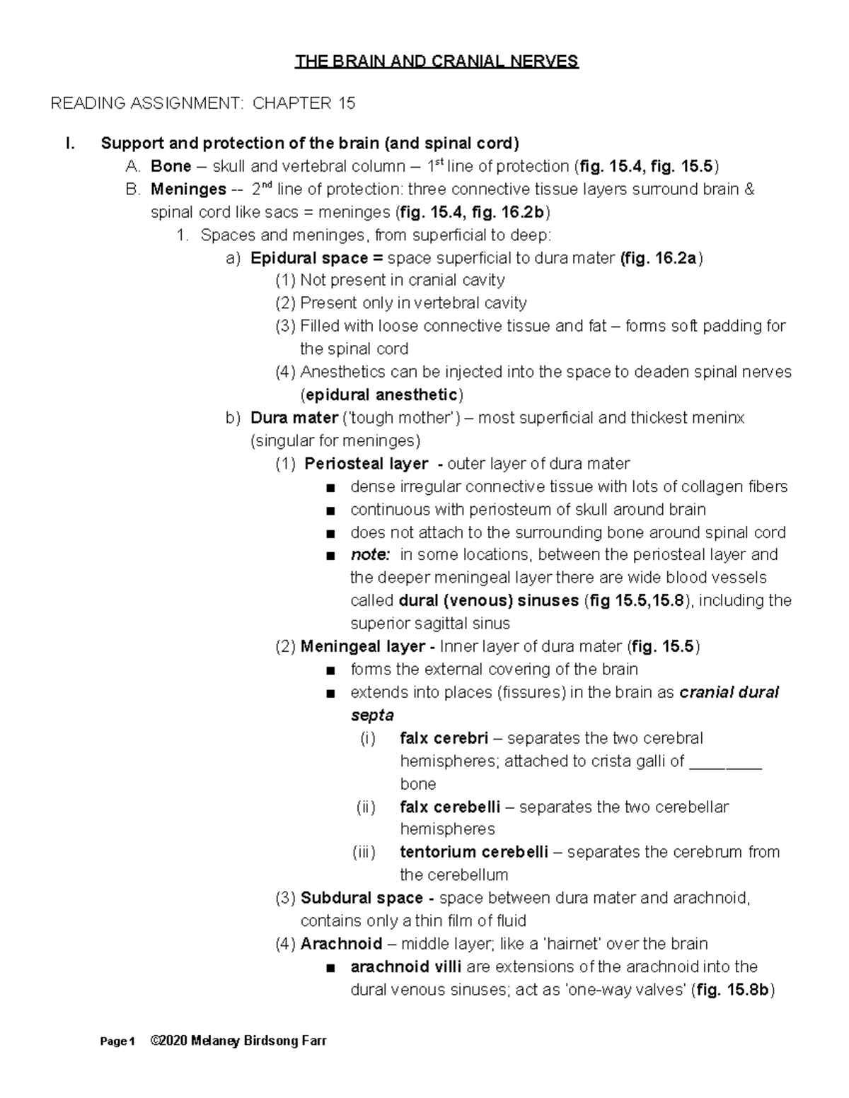 Brain Anatomy and Functions: Overview of Chapter 15 - THE BRAIN AND ...