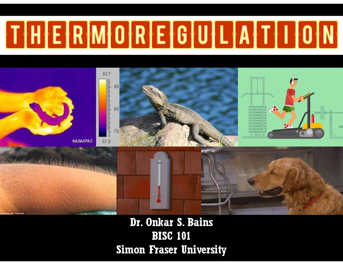 BISC 101 - Circulatory System - Part 2 - Student COPY - Spring 2025 ...