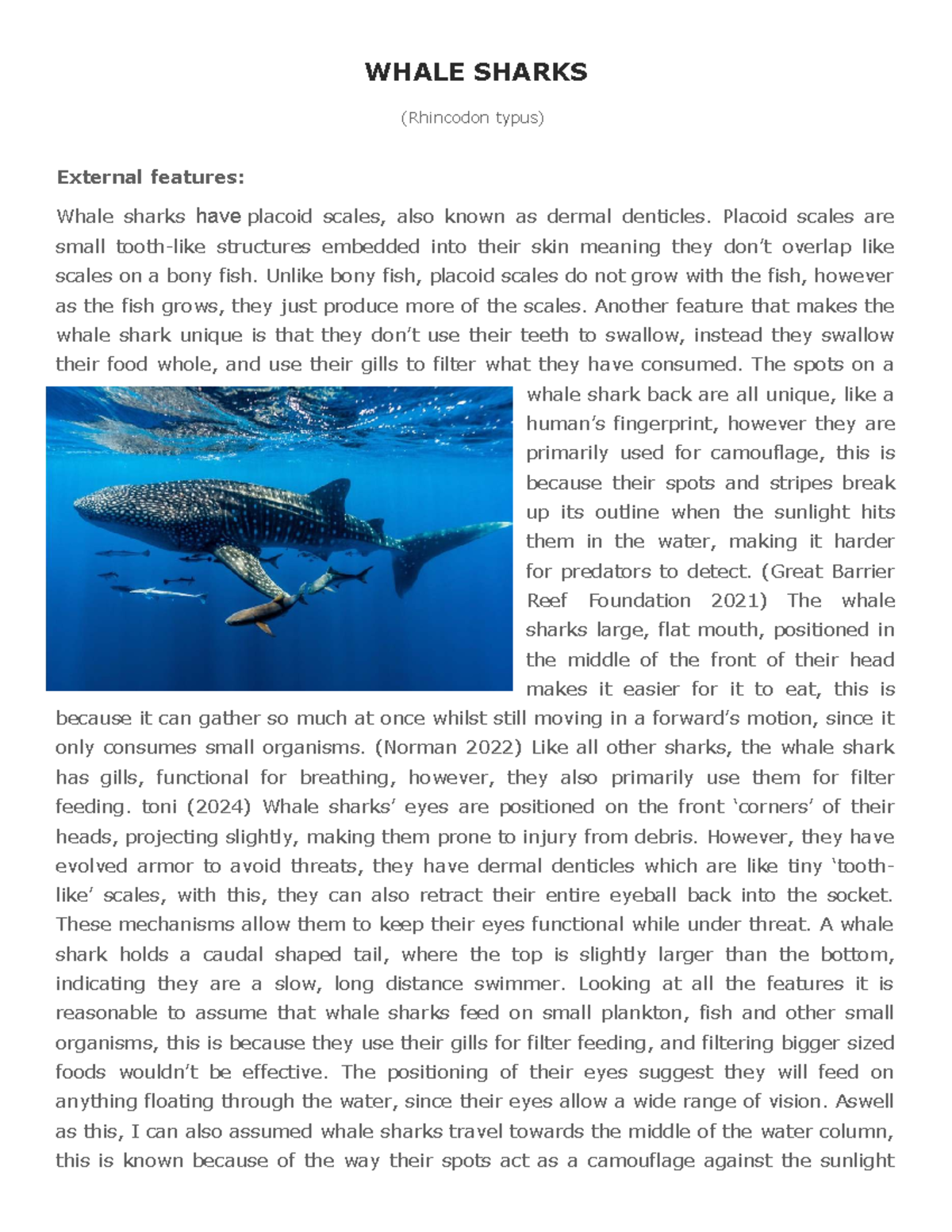 WHALE SHARKS (Rhincodon typus): An In-Depth Essay on Their Features ...