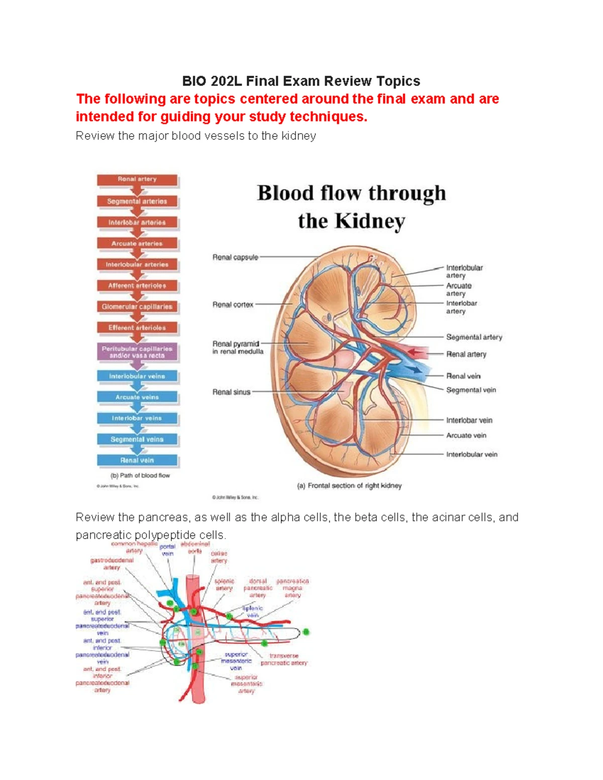 BIO 202L Comprehensive Midterm Review Guide - Studocu