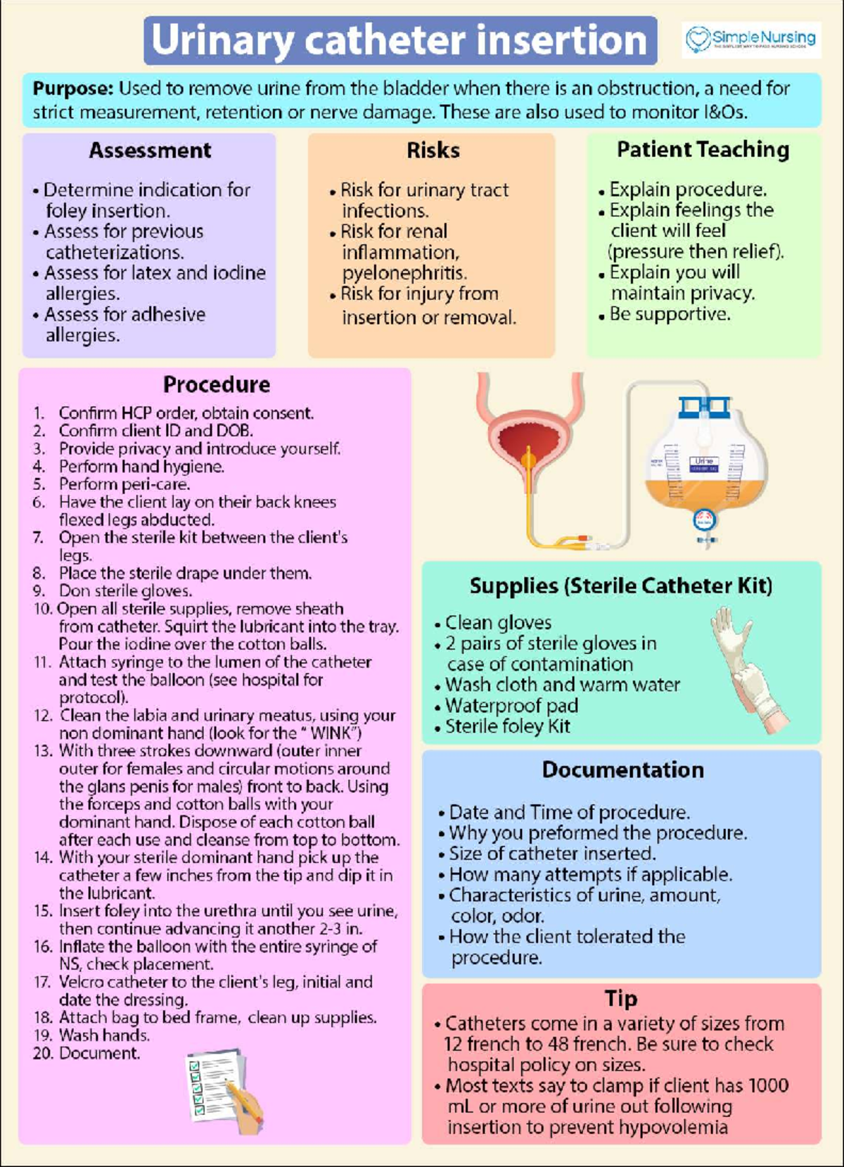 Urinary Catheter Insertion Guide for Nursing Students (NURS 101) - Studocu