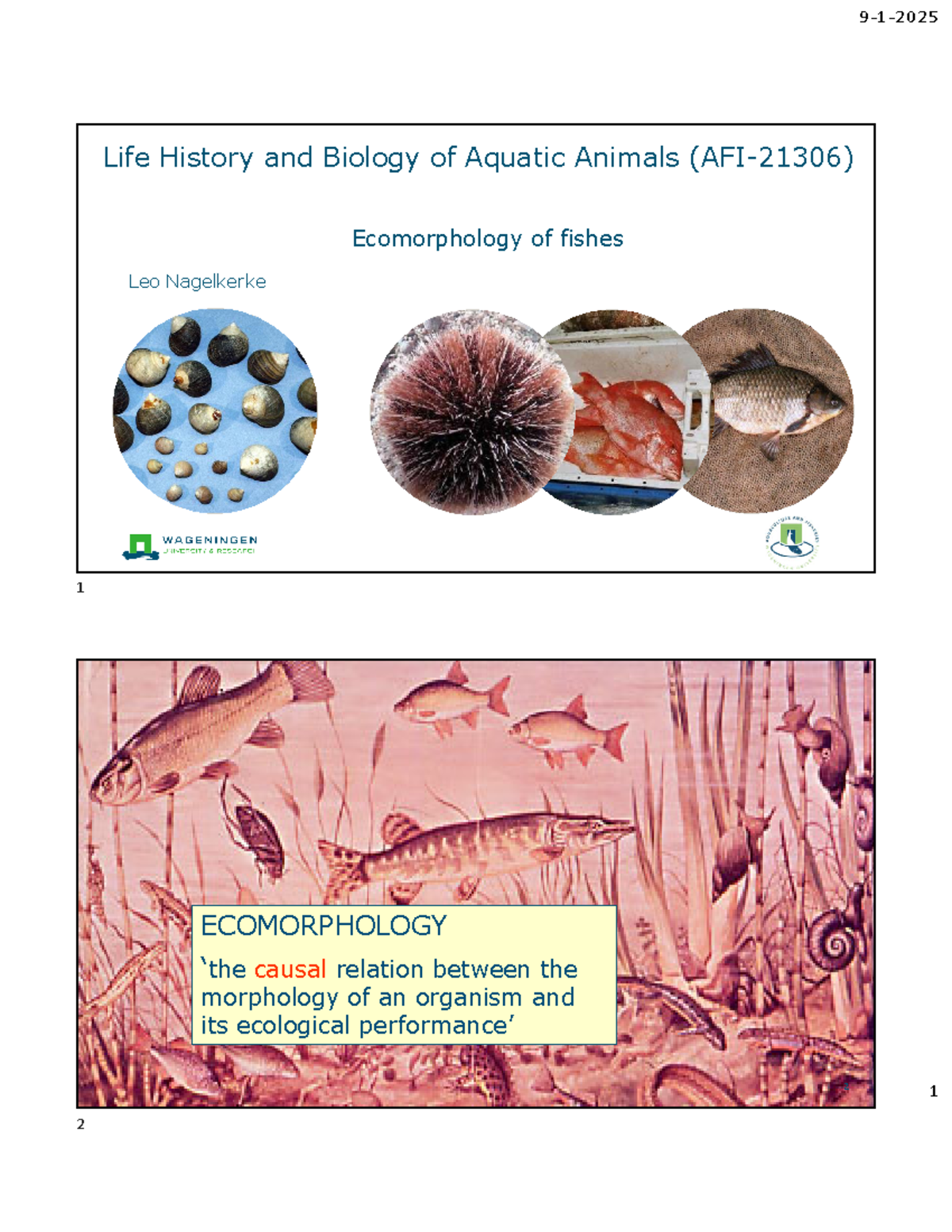Lecture 2026: Ecomorphology of Fishes and Their Feeding Adaptations ...