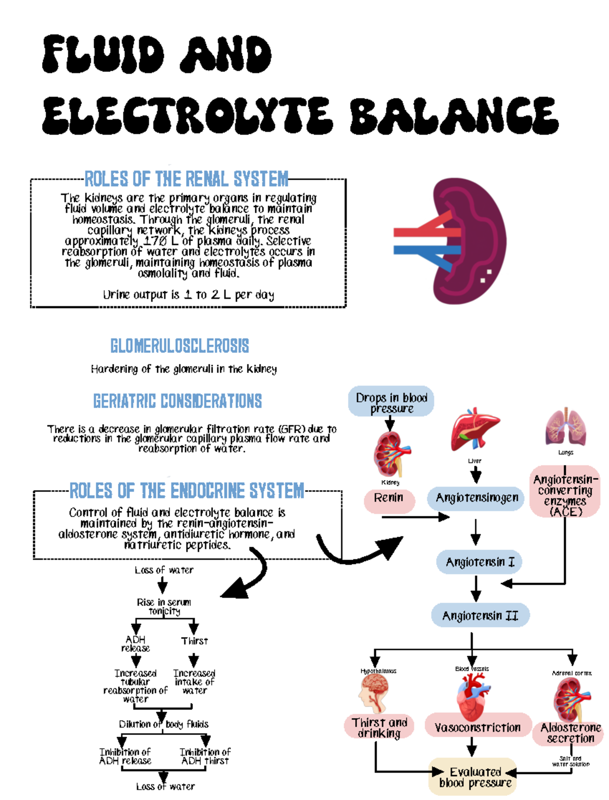 Nursing Fluid Electrolyte Balance