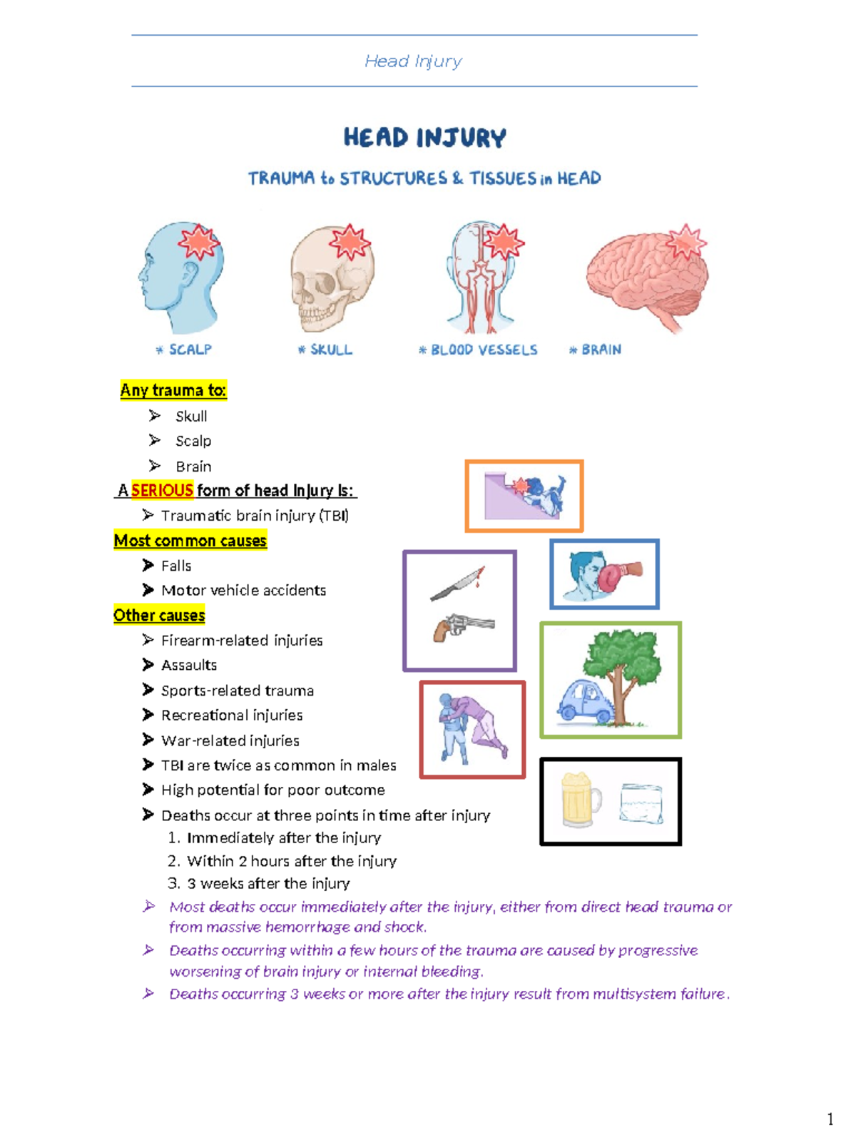 Head Injury Study Notes - Overview and Treatment Insights - Studocu