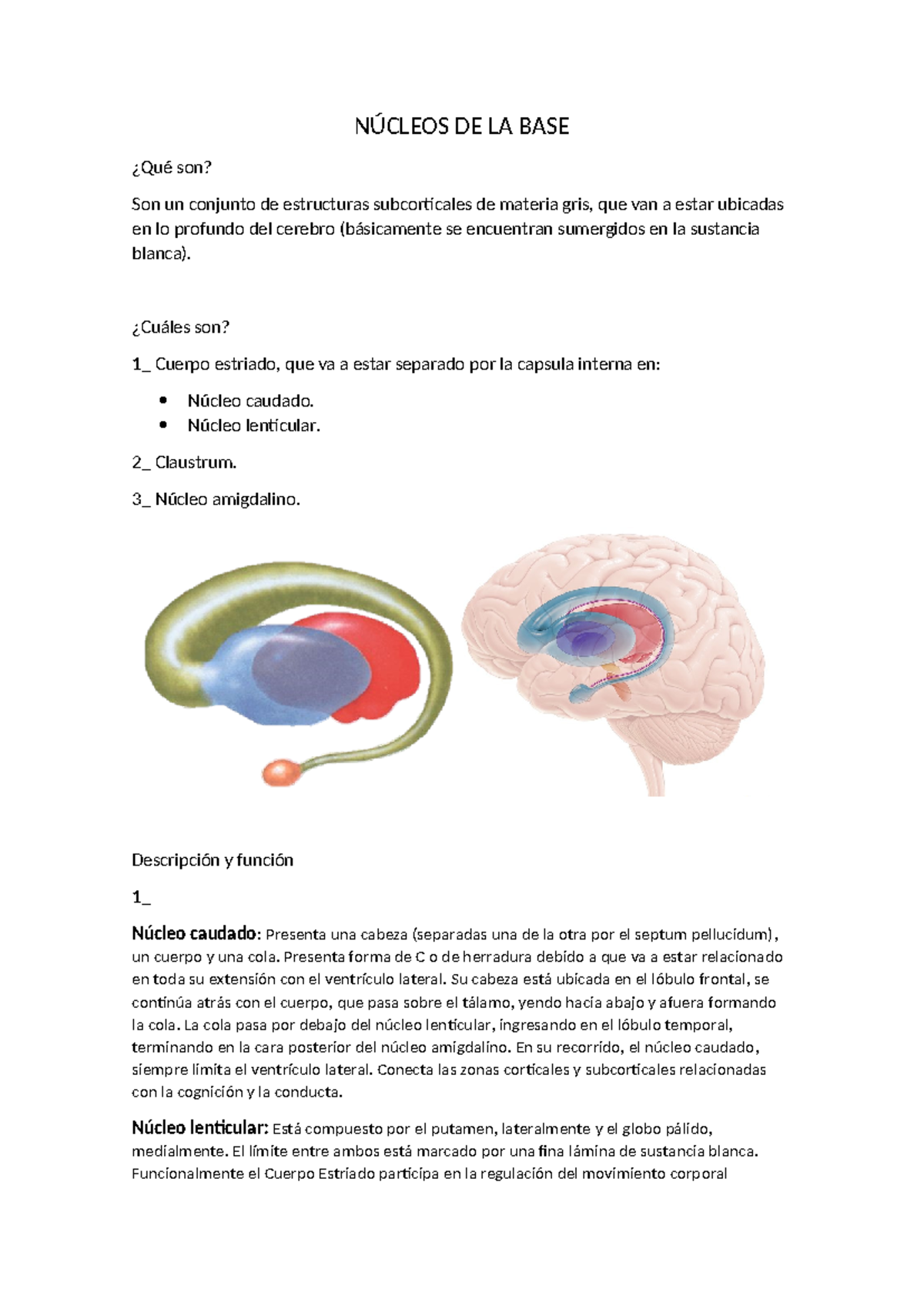 Núcleos DE LA BASE - ddddd - NÚCLEOS DE LA BASE ¿Qué son? Son un ...