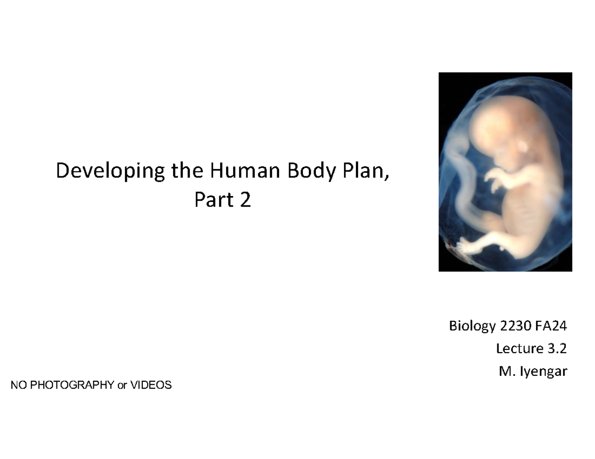 Embryology Overview: Neurulation & Body Plan Development - Bio 2230 ...