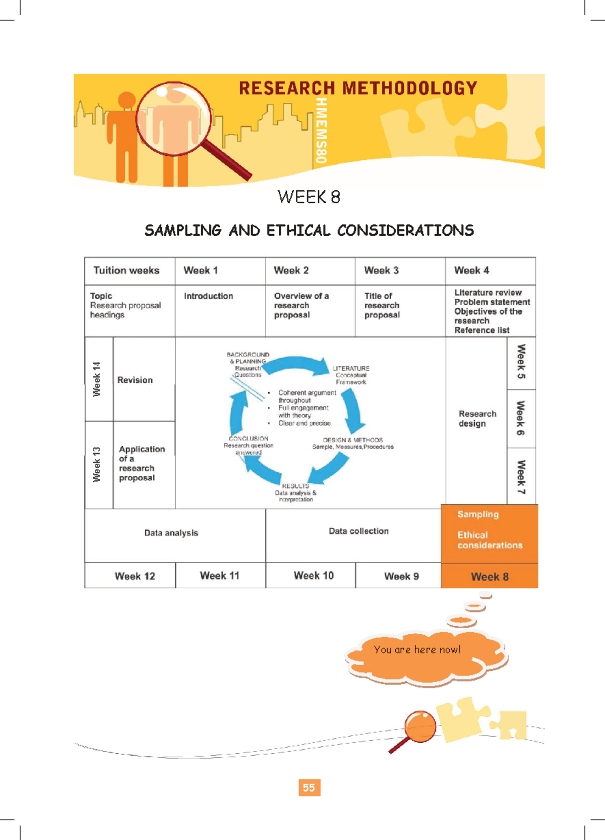HMEMS80 Week 8: Sampling and Ethical Considerations - Studocu