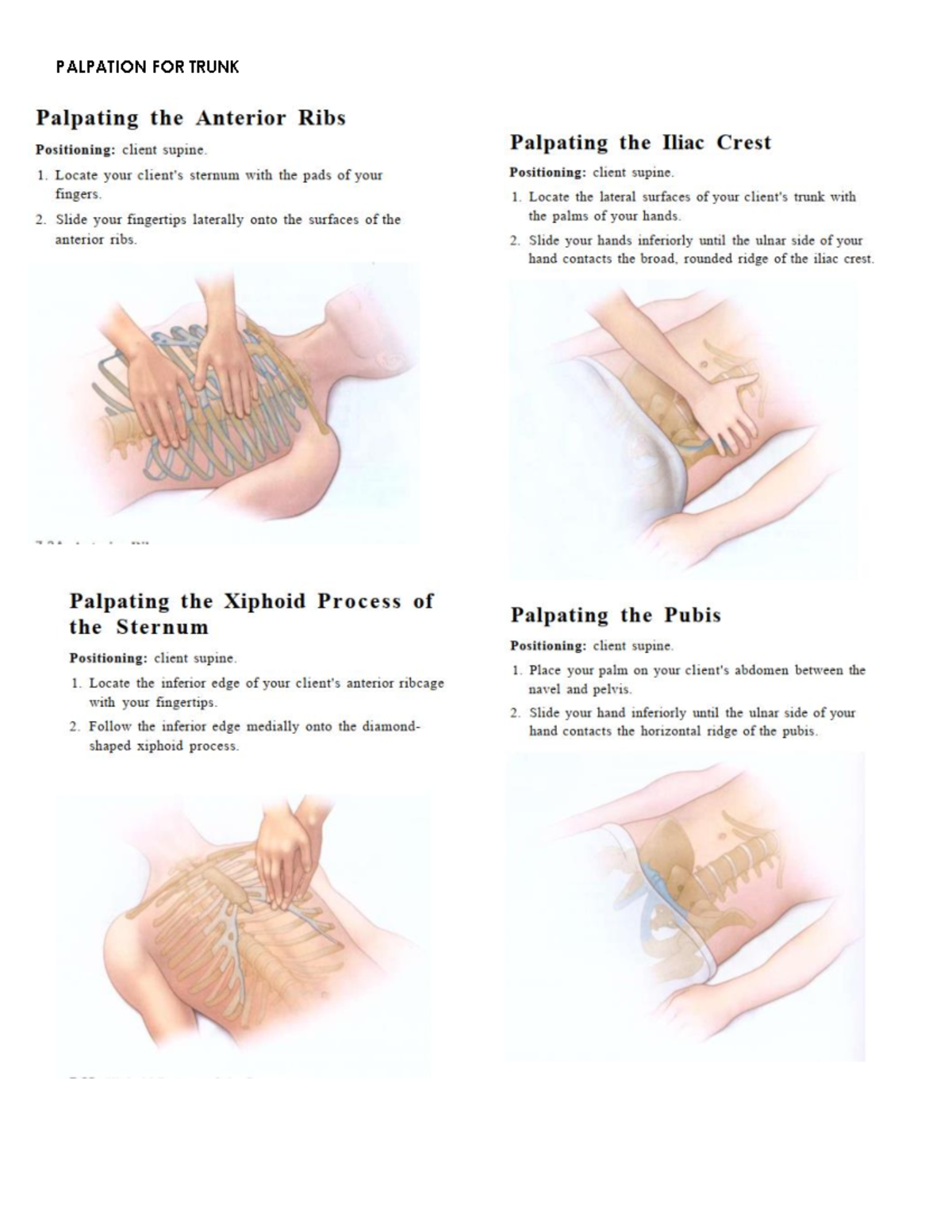 Trunk Palpation - PALPATION FOR TRUNK Palpating the Anterior Ribs ...
