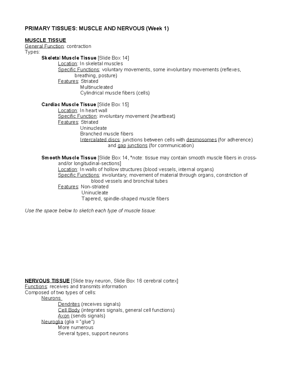 Muscle and Nervous Tissue Overview (BIO 101 - Week 1) - PRIMARY TISSUES ...