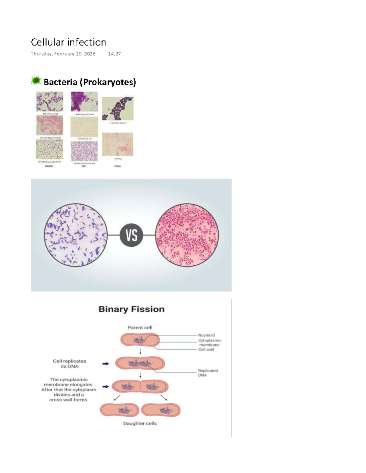 Cellular Infection Notes: Bacteria, Fungi, and Parasites Overview - Studocu