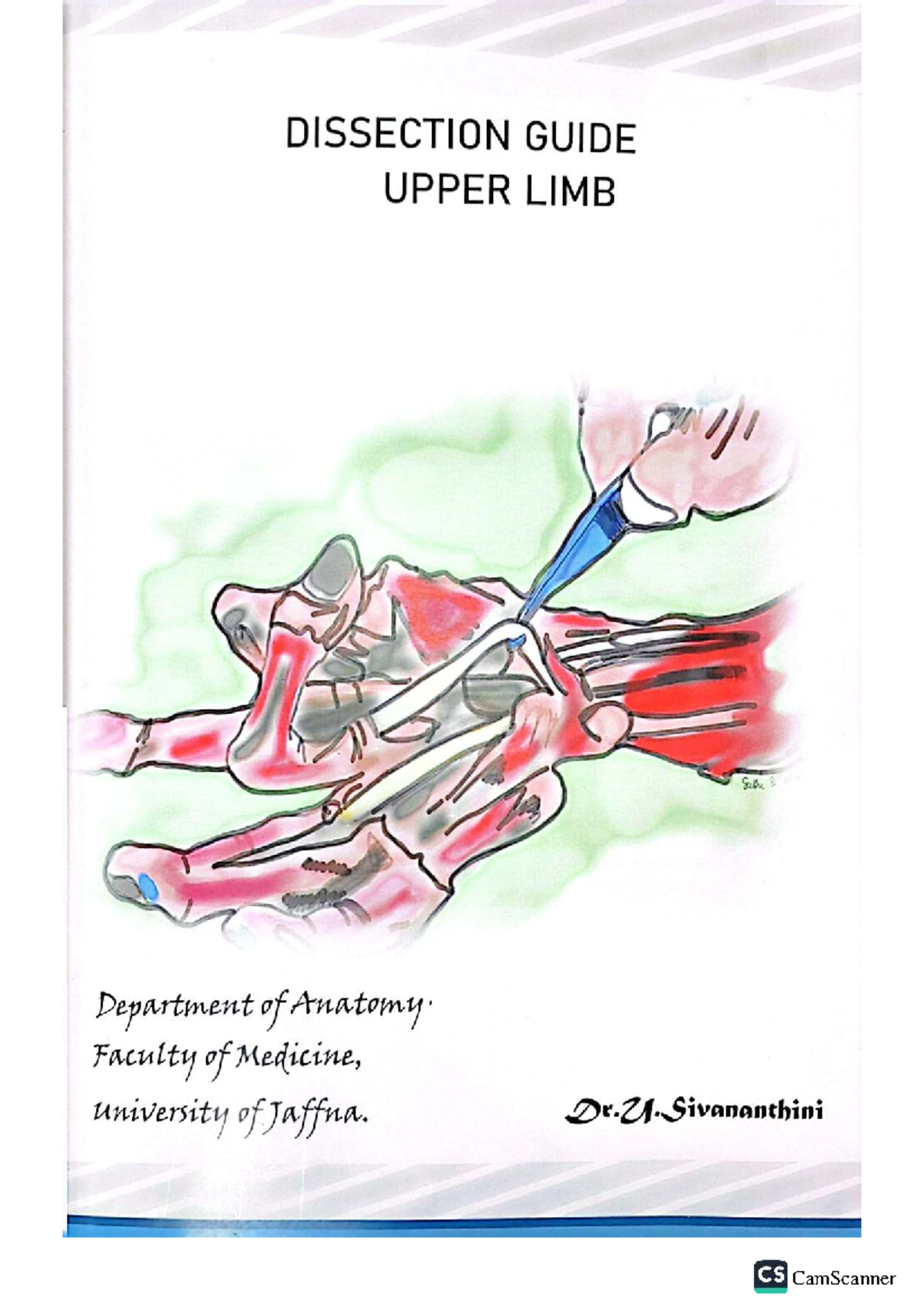Dissection Guide: Upper Limb Anatomy (Anatomy CS) - Studocu