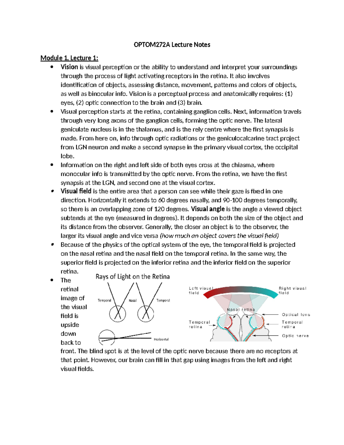 OPTOM272A Lecture Notes: Vision Development and Anatomy Insights - Studocu