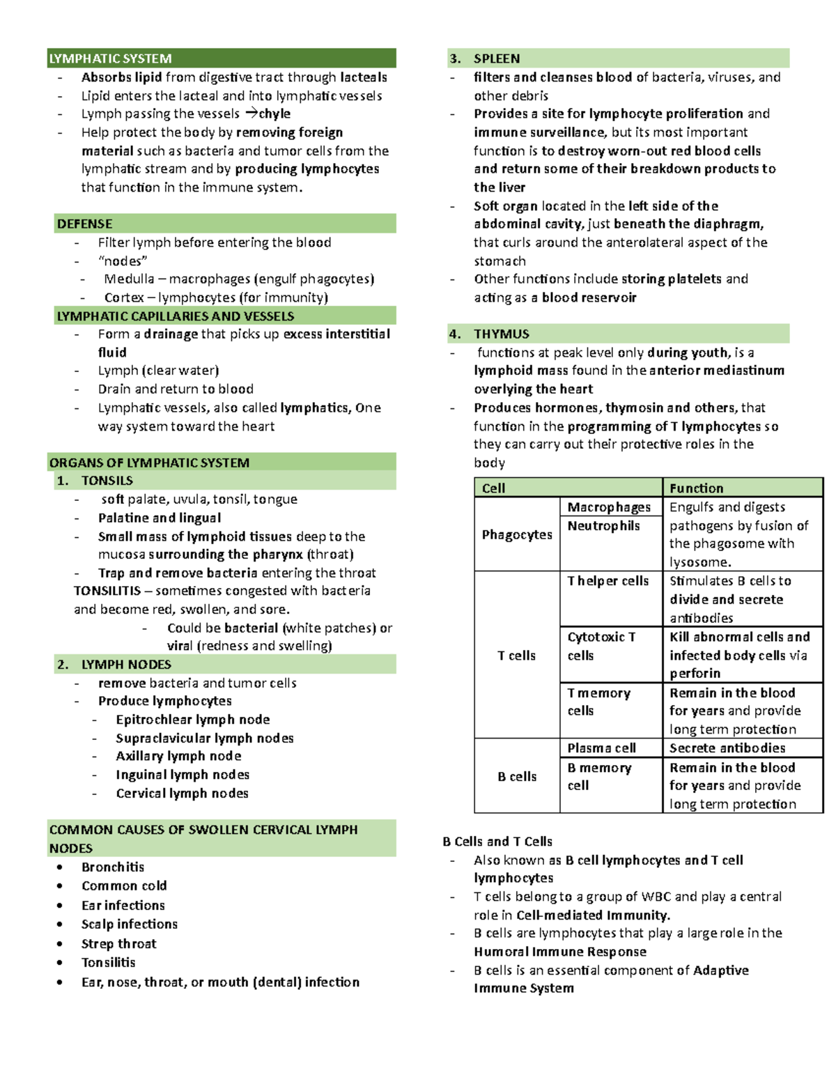 Lymphatic system overview: functions, organs, and immune response - Studocu