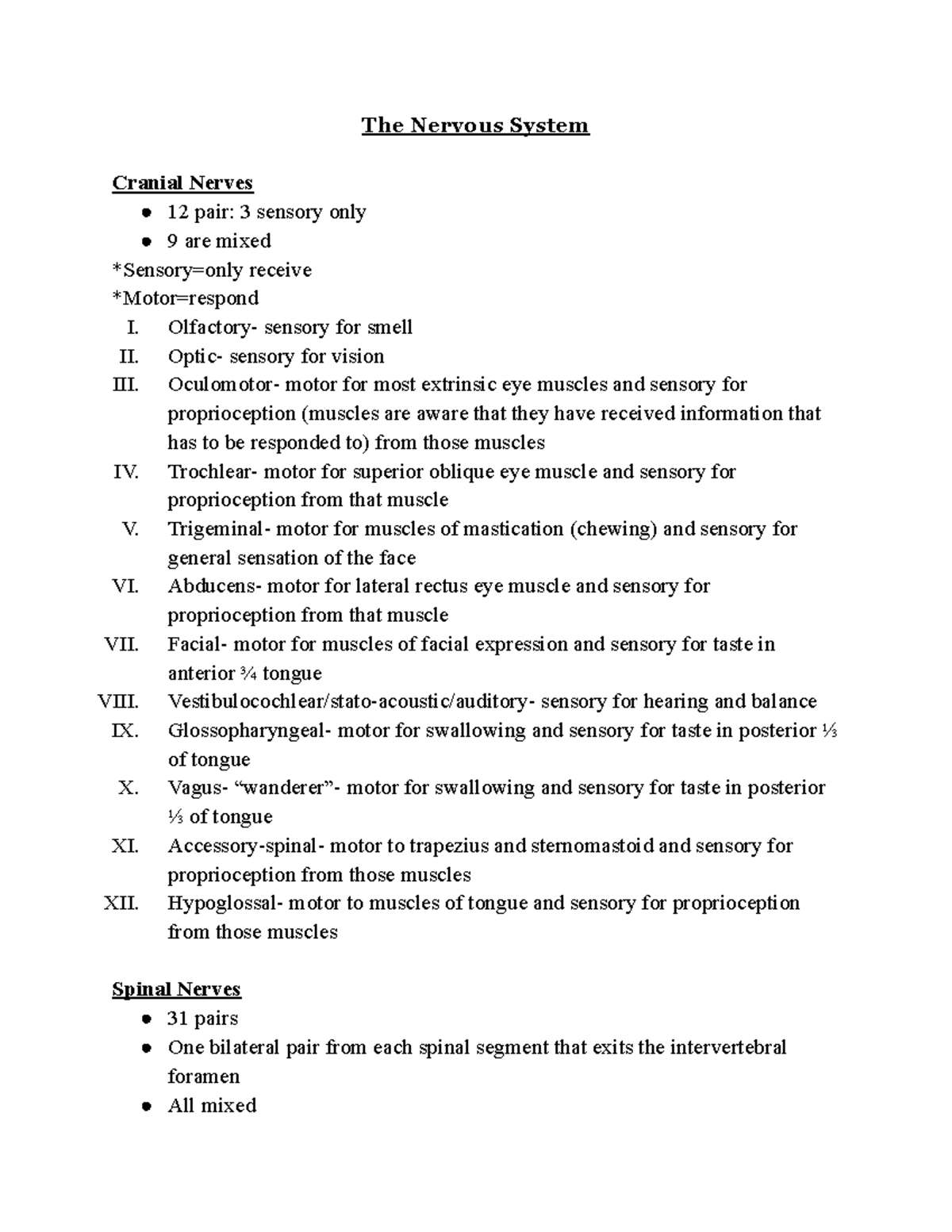Nervous System Overview and Key Functions (BIOL 101 Lecture Notes ...