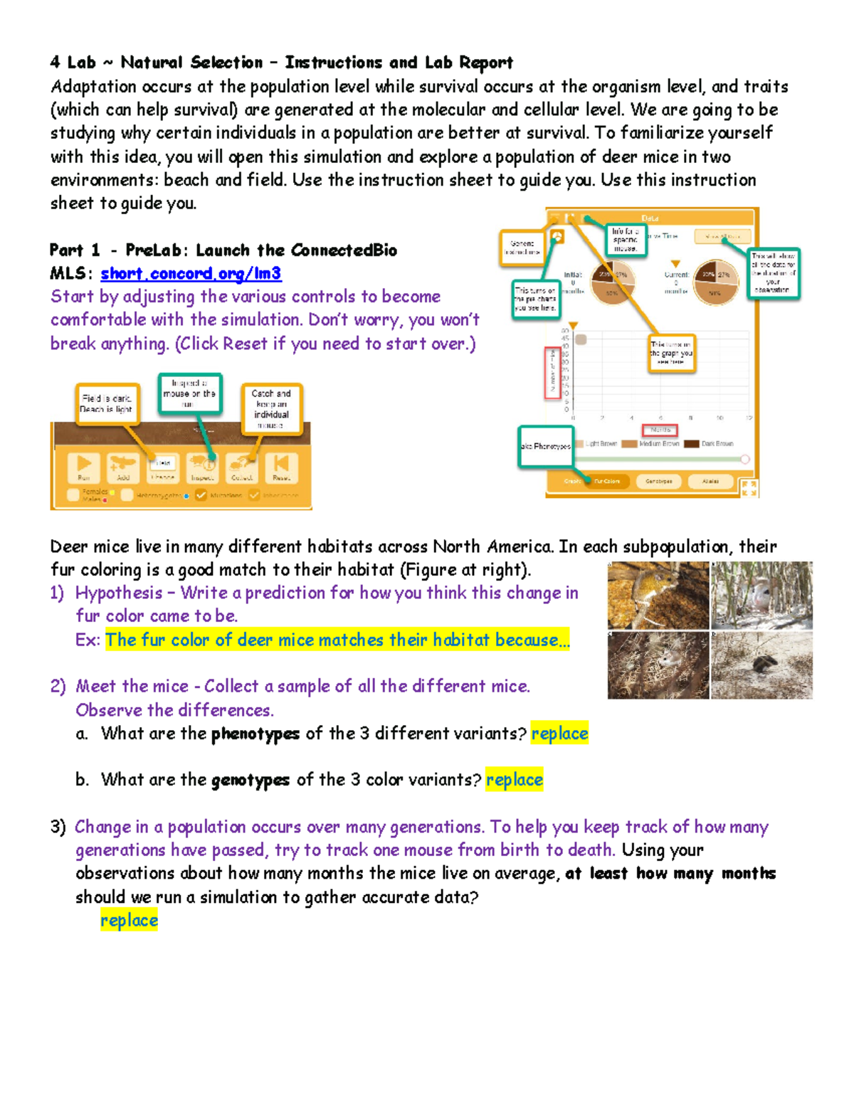 4.4 Natural Selection Lab Report: Deer Mice Adaptation Study - Studocu