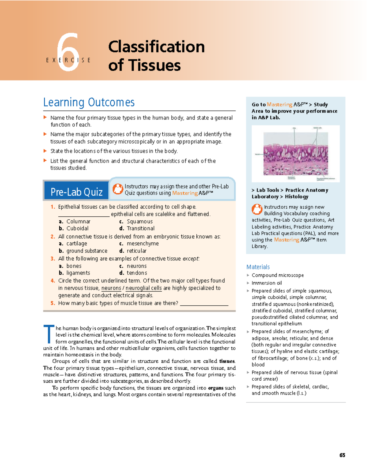 Classification of Tissues: Epithelial & Connective Tissue Overview ...