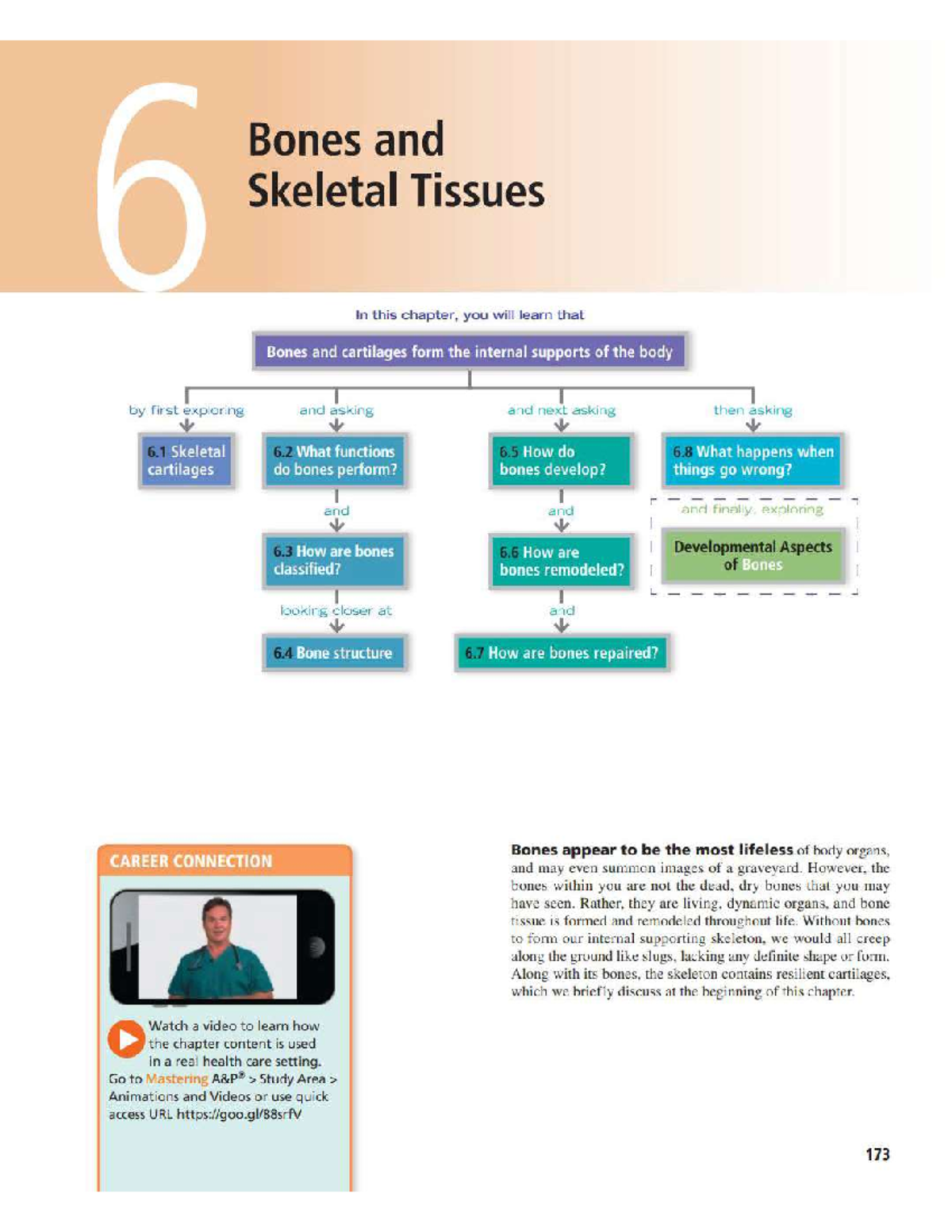 Chapter 6 - Happy lecture notes - 6 Bones and Skeletal Tissues In this ...